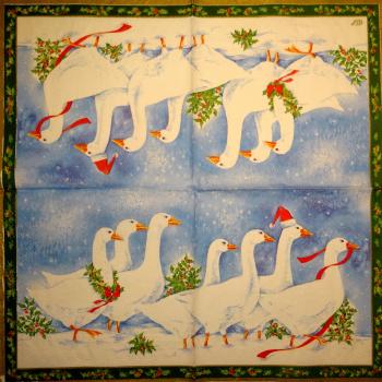 005 Ducks - 3-ply (grün) - Ihr